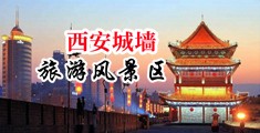 淫淫欧美色片中国陕西-西安城墙旅游风景区